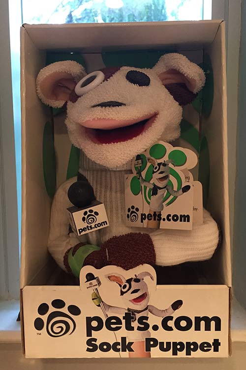 Starting A Company In College Sock Puppet