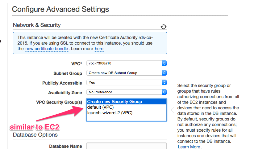 Amazon RDS Security Group Selection