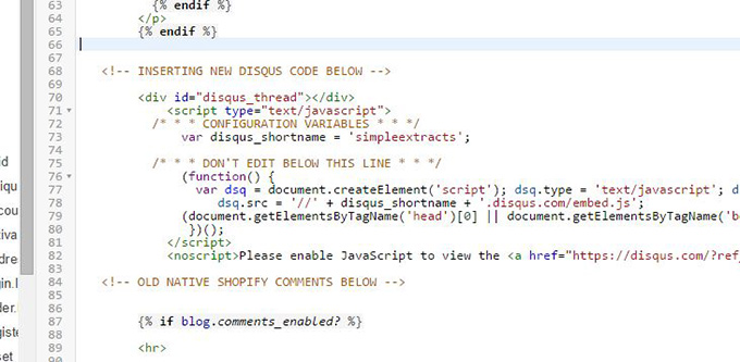 second example of where to insert disqus code on shopify site.